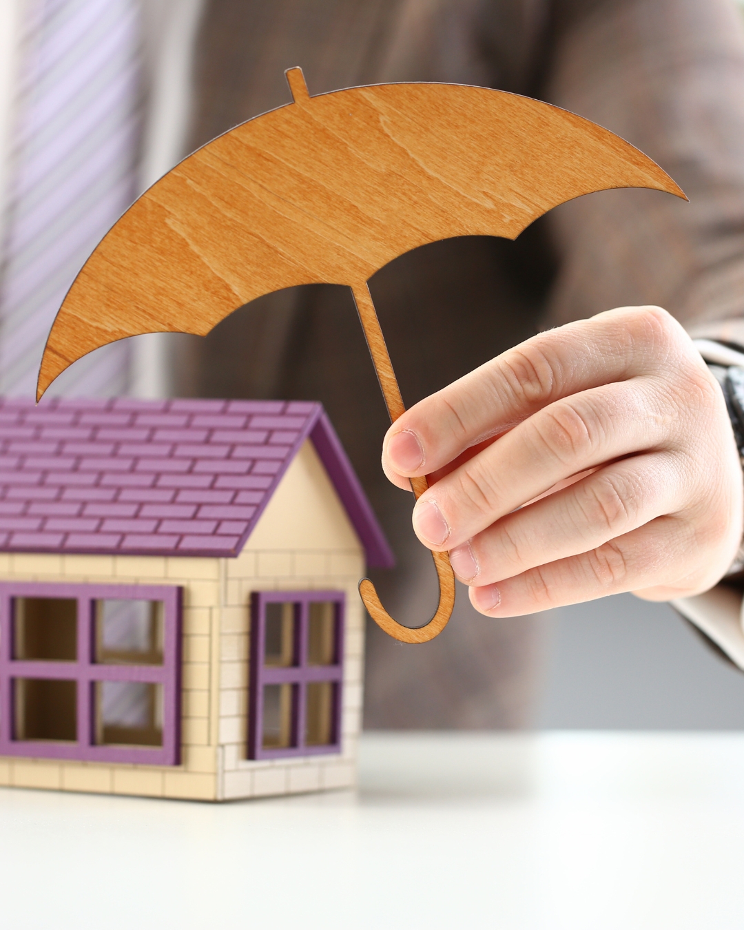 Nuevas publicaciones MAGNA (1)