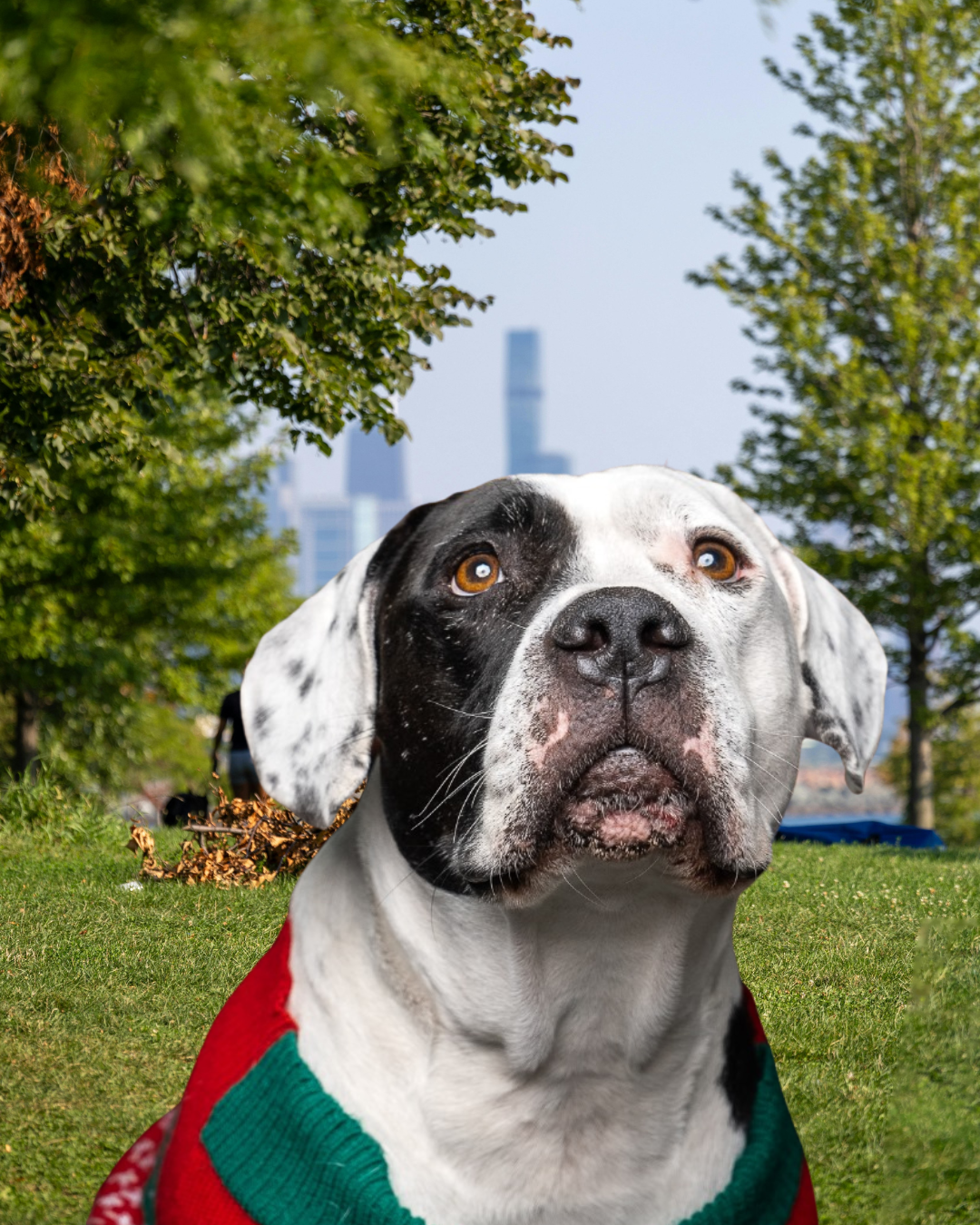 Nuevas publicaciones MAGNA (10)